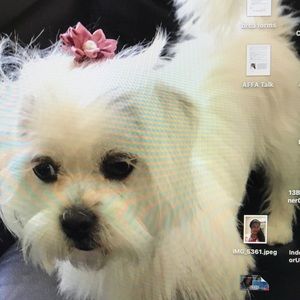 She just celebrated her first birthday